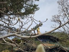 -潭柘寺景区