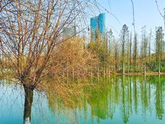 -艾溪湖湿地公园
