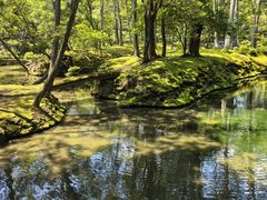 -西芳寺(苔寺)