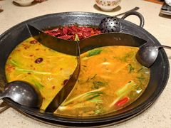 -朱光玉火锅馆(龙阳广场店)