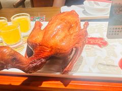 -大鸽饭(动物园店)