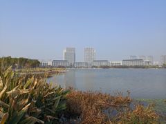 -尚贤河湿地