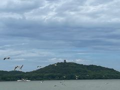 -水上明月·湖景餐厅