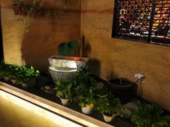 -绿茶餐厅(华联万柳店)