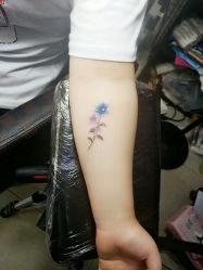 -组合纹身穿孔纹眉TATTOO