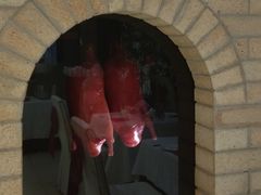 -玉林烤鸭店(黄村兴华店)
