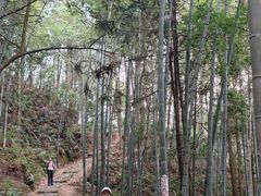 -井冈山风景名胜区