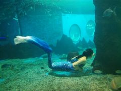 -北戴河圣蓝海洋公园