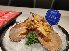-海月轩海鲜豆捞(紫金塔店)