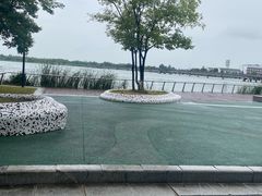 -金沙湖旅游度假区