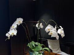 -明湖楼·经典鲁菜山东海鲜(大明湖店)