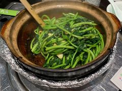 -鹅城粤菜馆(白云山路店)