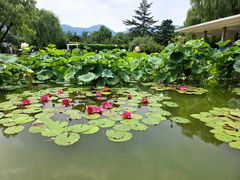 -国家植物园南园