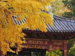 -汇龙潭