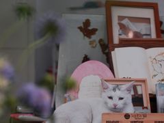 -知物癖(牛王庙店)