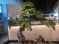 -马家斑.鲜鱼火锅(松湖万科店)