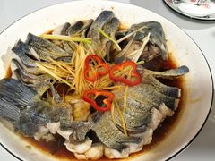 -煲来饱去冷水鱼