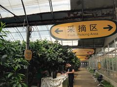 -北戴河集发农业梦想王国