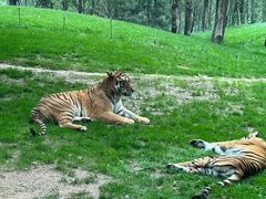-北京野生动物园