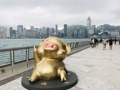 -星光大道