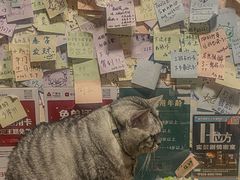 -H立方实景剧情密室(天河旗舰店)