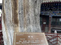 -玉泉观