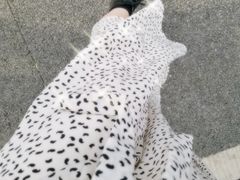 -府河摄影公园
