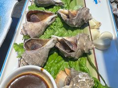 -高家烧鸽子烧烤店63年