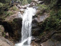 -九龙江国家森林公园