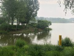-东郊湿地公园