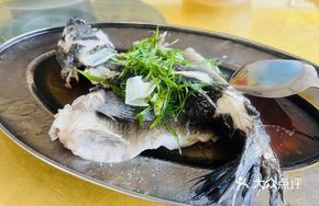 Ang Pao Fish