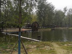 -合肥滨湖国家森林公园