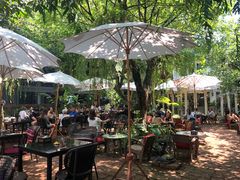 -Fern Forest Cafe