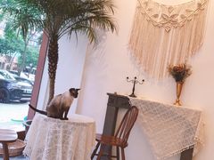 -猫友咖啡店(玉林西路店)