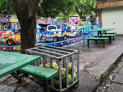 -万绿园