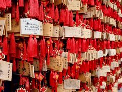 -峨眉山报国寺