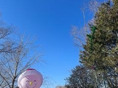 -大兴滨河森林公园