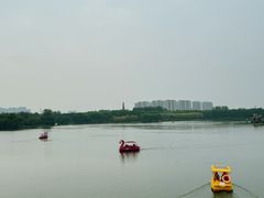 -大兴滨河森林公园