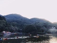-广州市帽峰山景区