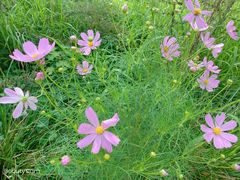 -白鹭湾湿地公园
