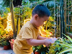 -农畉LONFOOD(福田星河COCOPark店)