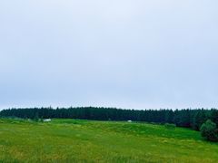 -御道口草原森林风景区