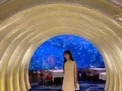 -迪拜帆船酒店海底餐厅