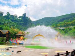 -西双版纳原始森林公园