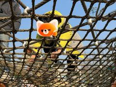 -季高兔窝窝亲子园(上海薰衣草公园店)