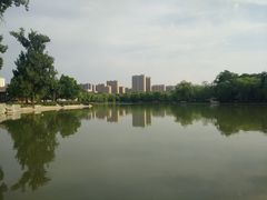 -达活泉公园