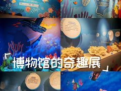 -温州博物馆