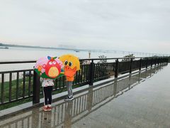 -羚羊峡古栈道森林公园