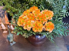 -晟永興烤鸭店(五道口店)