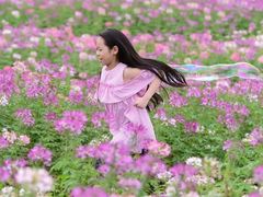 -二沙岛艺术公园